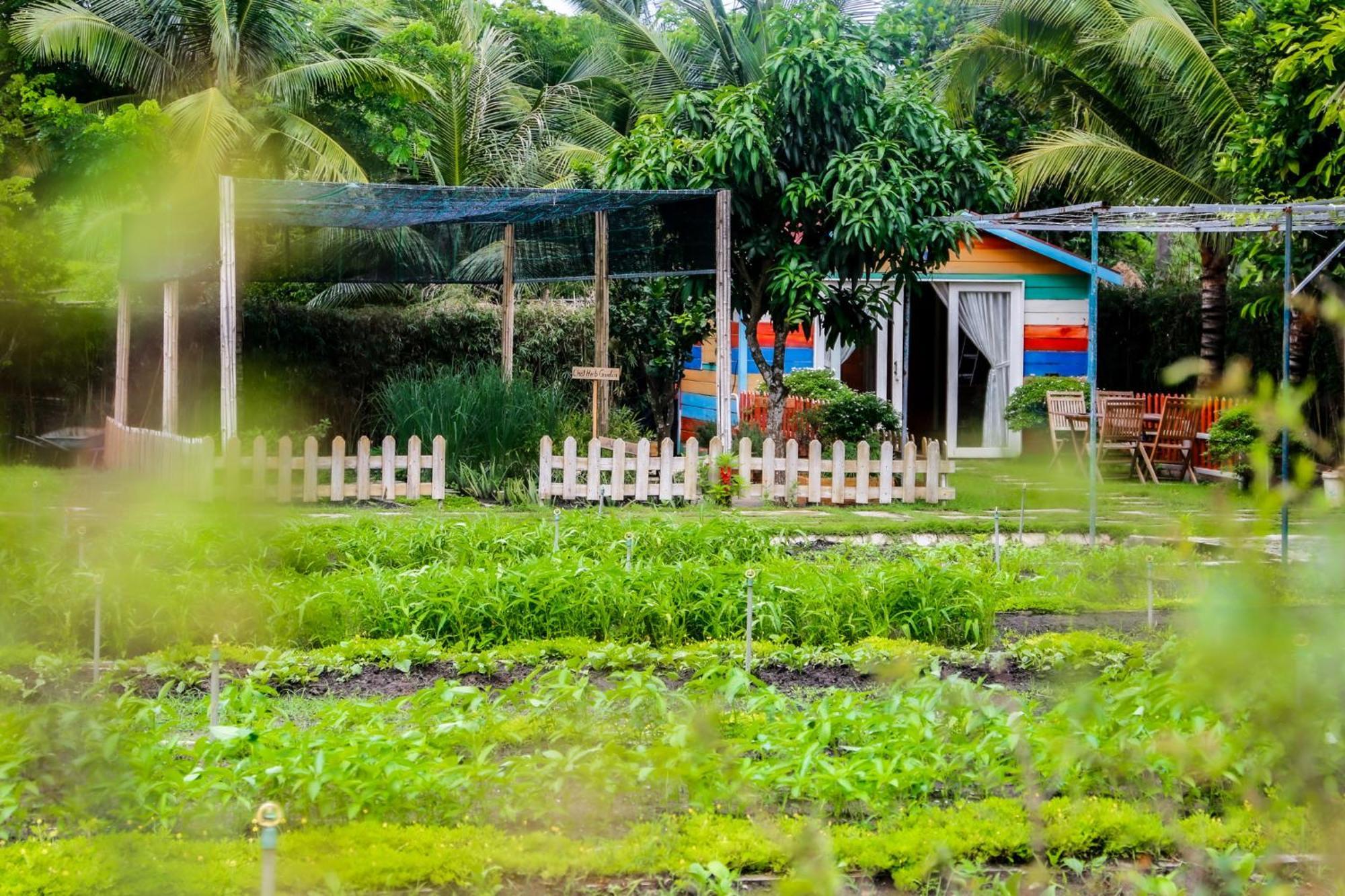 Melia Ho Tram Beach Resort Luaran gambar A farm in the Philippines